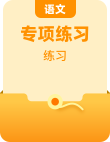 中考语文名著导读专题练习题