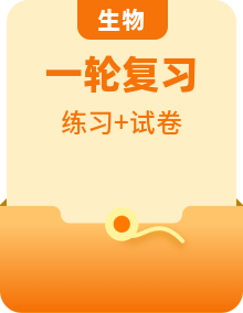 全套新教材高考生物一轮复习大题专项练含答案