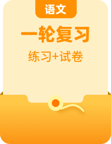 中考语文一轮《名著阅读》通关练精选试卷