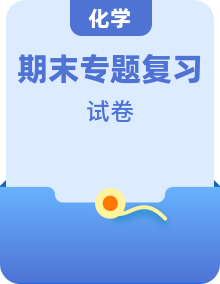 期末复习专题卷（化学人教版9年级下册）