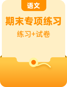 部编版语文六年级下册期末专项训练卷含答案