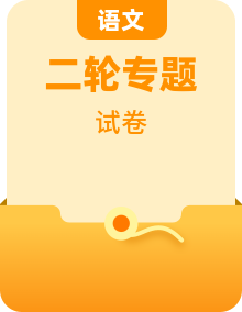 2023年高考语文二轮复习易错点易错题精选分类专题多套（Word版附解析）