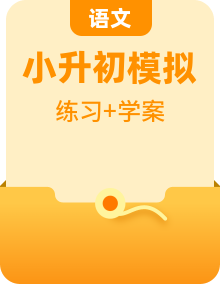 2022-2023学年小升初语文知识点专题特训学案（含答案）