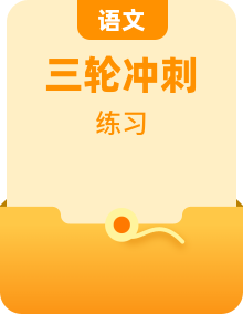 2021年高考语文三轮《考前30天冲刺》练习（含答案）