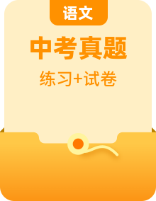 历年初中语文中考真题专项知识题复习训练及答案