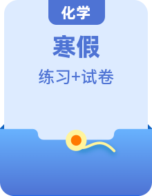 (预习课)2024年人教版高一化学寒假提升学与练 （2份打包，原卷版+解析版）