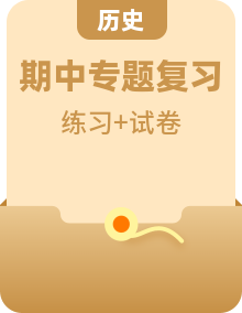 2022-2023年部编版历史八年级下册专项复习精讲精练（原卷版+解析版）