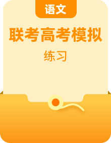 2024年高考语文“九省联考”新题型专练（九省通用）