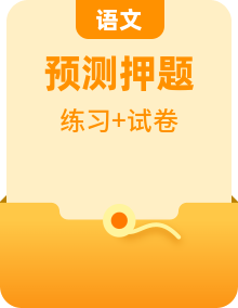 中考语文【热点·重点·难点】专练(全国通用)重点难点(原卷版+解析)