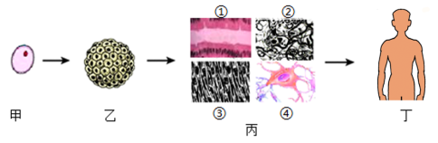 D:\新桌面\图片1.png