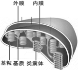 高考资源网(ks5u.com),中国最大的高考网站,您身边的高考专家。