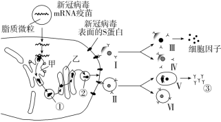 F:\一轮\生物\760.TIF