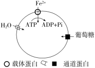 F:\一轮\生物\1082.TIF