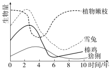 F:\一轮\生物\940.TIF