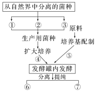 F:\一轮\生物\978.TIF