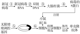 F:\一轮\生物\1039.TIF