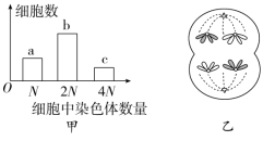 F:\一轮\生物\317.TIF