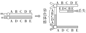 F:\一轮\生物\318.TIF