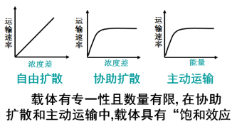 www.91taoke.com 91淘课网