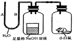 学科网(www.zxxk.com)--教育资源门户，提供试题试卷、教案、课件、教学论文、素材等各类教学资源库下载，还有大量丰富的教学资讯！