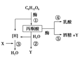 学科网(www.zxxk.com)--教育资源门户，提供试题试卷、教案、课件、教学论文、素材等各类教学资源库下载，还有大量丰富的教学资讯！