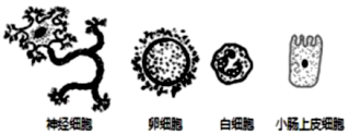 学科网(www.zxxk.com)--教育资源门户，提供试题试卷、教案、课件、教学论文、素材等各类教学资源库下载，还有大量丰富的教学资讯！