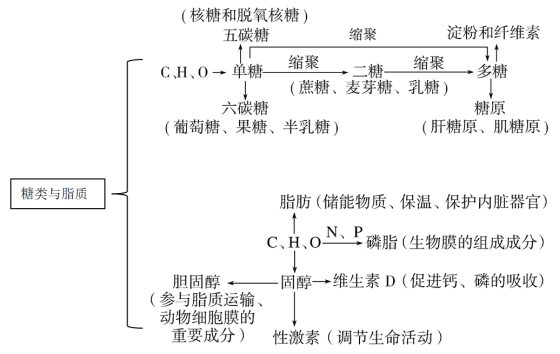 学科网 版权所有