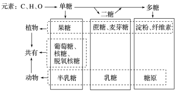 学科网 版权所有