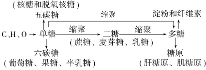 学科网 版权所有