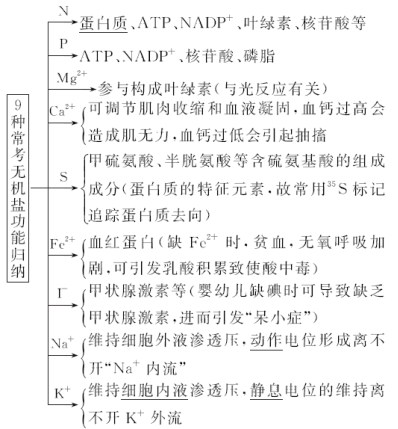 学科网 版权所有