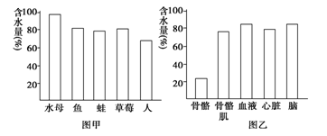 学科网 版权所有