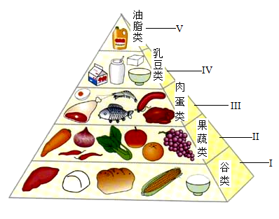 学科网(www.zxxk.com)--教育资源门户，提供试卷、教案、课件、论文、素材以及各类教学资源下载，还有大量而丰富的教学相关资讯！