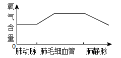 学科网(www.zxxk.com)--教育资源门户，提供试卷、教案、课件、论文、素材以及各类教学资源下载，还有大量而丰富的教学相关资讯！