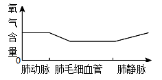 学科网(www.zxxk.com)--教育资源门户，提供试卷、教案、课件、论文、素材以及各类教学资源下载，还有大量而丰富的教学相关资讯！