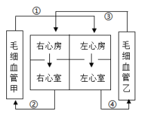 学科网(www.zxxk.com)--教育资源门户，提供试卷、教案、课件、论文、素材以及各类教学资源下载，还有大量而丰富的教学相关资讯！