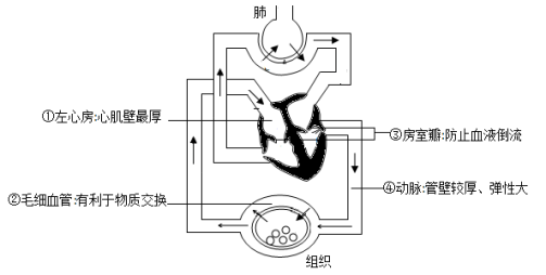 学科网(www.zxxk.com)--教育资源门户，提供试卷、教案、课件、论文、素材以及各类教学资源下载，还有大量而丰富的教学相关资讯！