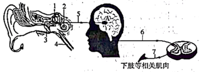 学科网(www.zxxk.com)--教育资源门户，提供试卷、教案、课件、论文、素材以及各类教学资源下载，还有大量而丰富的教学相关资讯！