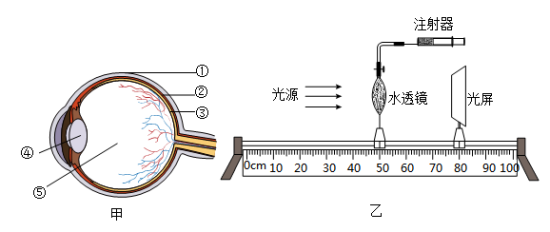 学科网(www.zxxk.com)--教育资源门户，提供试卷、教案、课件、论文、素材以及各类教学资源下载，还有大量而丰富的教学相关资讯！