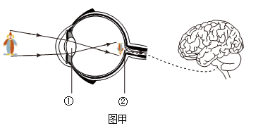 学科网(www.zxxk.com)--教育资源门户，提供试卷、教案、课件、论文、素材以及各类教学资源下载，还有大量而丰富的教学相关资讯！