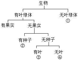 学科网(www.zxxk.com)--教育资源门户，提供试卷、教案、课件、论文、素材以及各类教学资源下载，还有大量而丰富的教学相关资讯！