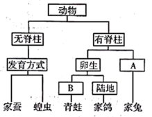 学科网(www.zxxk.com)--教育资源门户，提供试卷、教案、课件、论文、素材以及各类教学资源下载，还有大量而丰富的教学相关资讯！