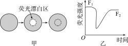 ../23名师-490.TIF