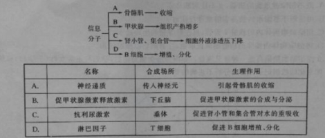 中国教育出版网（www.zzstep.com），免费精品资源门户网站。提供试卷、教案、课件、素材及各类精品教学资源下载