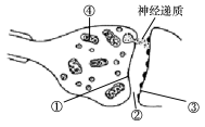 中国教育出版网（www.zzstep.com），免费精品资源门户网站。提供试卷、教案、课件、素材及各类精品教学资源下载