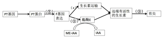 学科网(www.zxxk.com)--教育资源门户，提供试卷、教案、课件、论文、素材以及各类教学资源下载，还有大量而丰富的教学相关资讯！