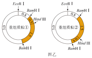 学科网(www.zxxk.com)--教育资源门户，提供试卷、教案、课件、论文、素材以及各类教学资源下载，还有大量而丰富的教学相关资讯！