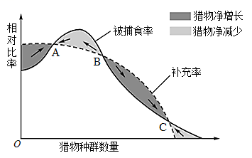 学科网(www.zxxk.com)--教育资源门户，提供试卷、教案、课件、论文、素材以及各类教学资源下载，还有大量而丰富的教学相关资讯！