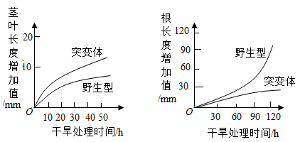 学科网(www.zxxk.com)--教育资源门户，提供试卷、教案、课件、论文、素材以及各类教学资源下载，还有大量而丰富的教学相关资讯！