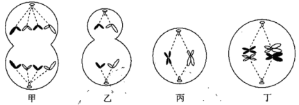 学科网(www.zxxk.com)--教育资源门户，提供试卷、教案、课件、论文、素材以及各类教学资源下载，还有大量而丰富的教学相关资讯！