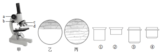 学科网(www.zxxk.com)--教育资源门户，提供试卷、教案、课件、论文、素材以及各类教学资源下载，还有大量而丰富的教学相关资讯！